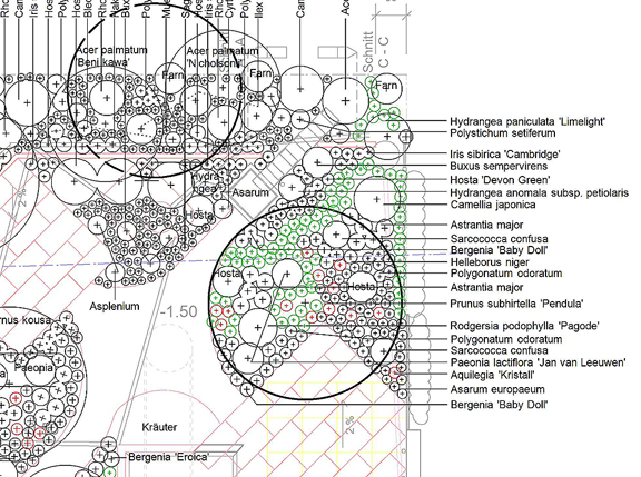 Zeichnungen EVA Ellie Vollmer Ackermann Visualisierungen Pflanzplan